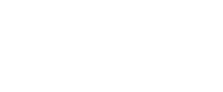 IBO Logo