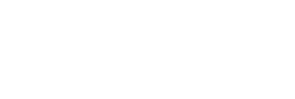 IIEMSA Logo