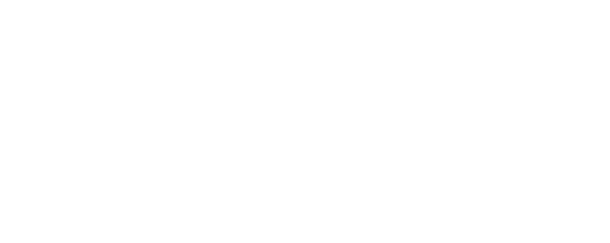 Nissan Springs Logo