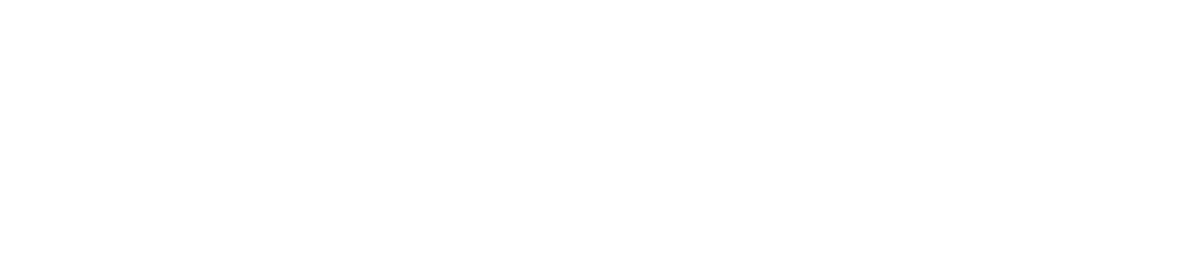 Polo Logo