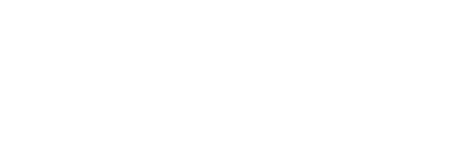 S4 Auto Logo