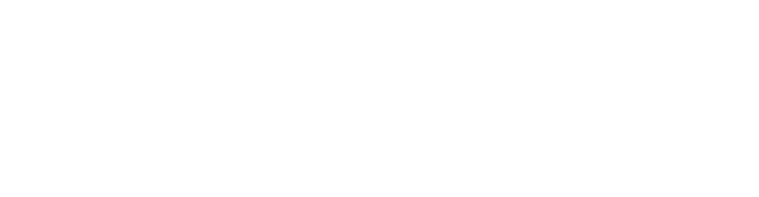 Skin Functional Logo