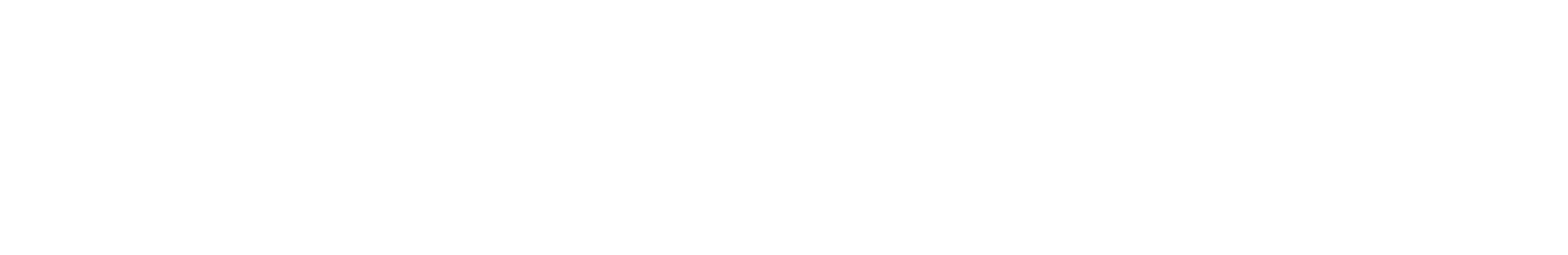 Stanlib Logo