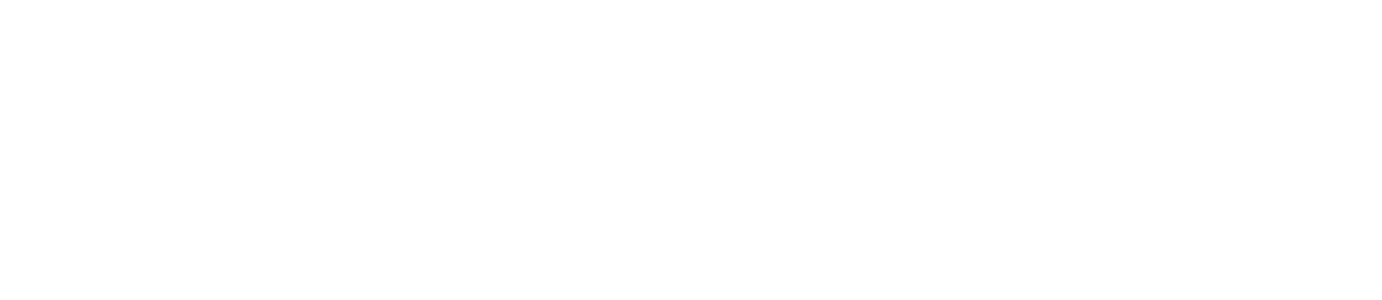 The Bed Store Logo